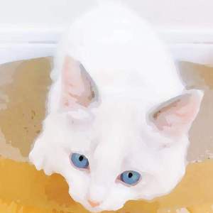 亚洲妇女无套内㓔精图片
